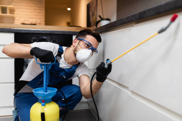 Best Affordable Pest Control Services  in University Heights, OH