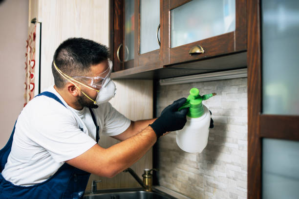 Best Emergency Pest Control  in University Heights, OH