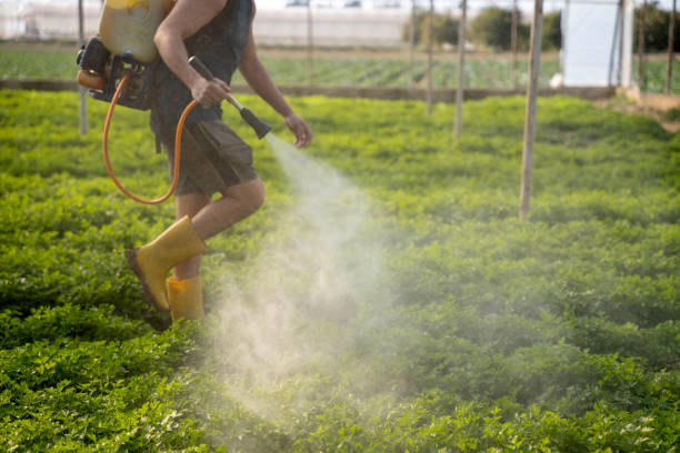 Best Mosquito Control Services  in University Heights, OH