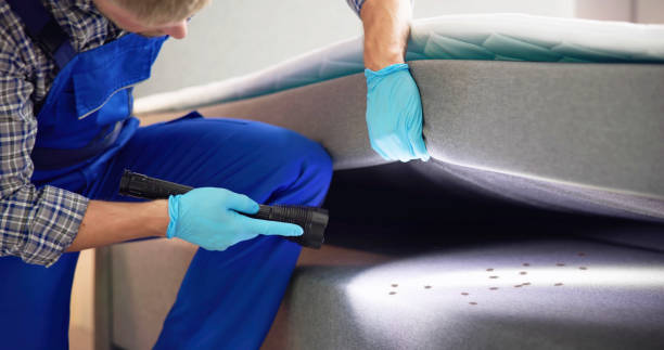 Best Termite Control Services  in University Heights, OH