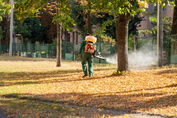 Best Best Pest Control Companies  in University Heights, OH