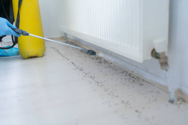 Best Wildlife Control Services  in University Heights, OH