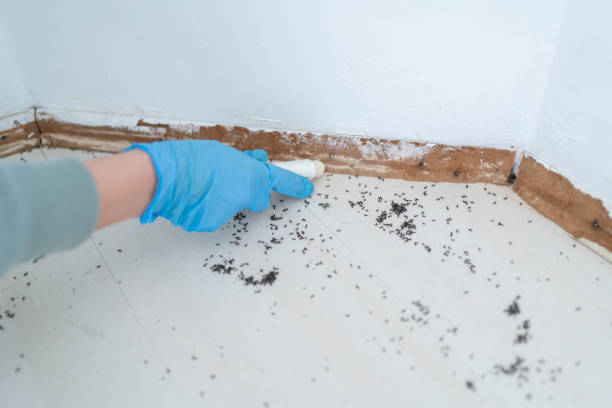 Professional Pest Control in University Heights, OH
